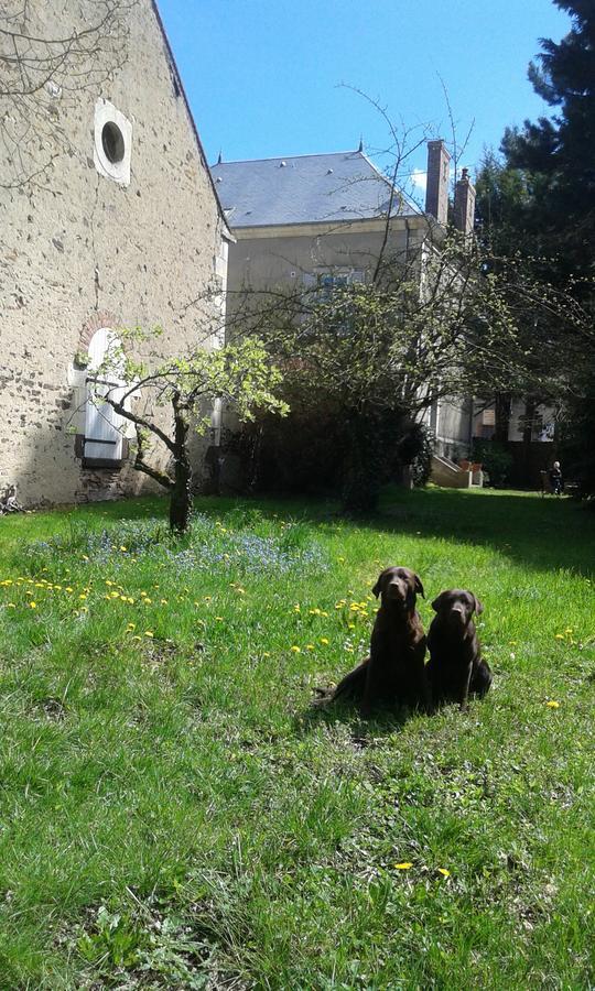 La Sauldre Bed & Breakfast Vailly-sur-Sauldre ภายนอก รูปภาพ